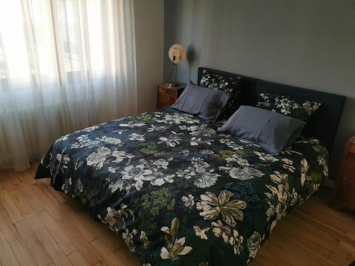La Maison De Lucie - Grande Maison Ideale En Famille Ou Entre Amis - Jardin - Parking Gratuit Sélestat Екстериор снимка