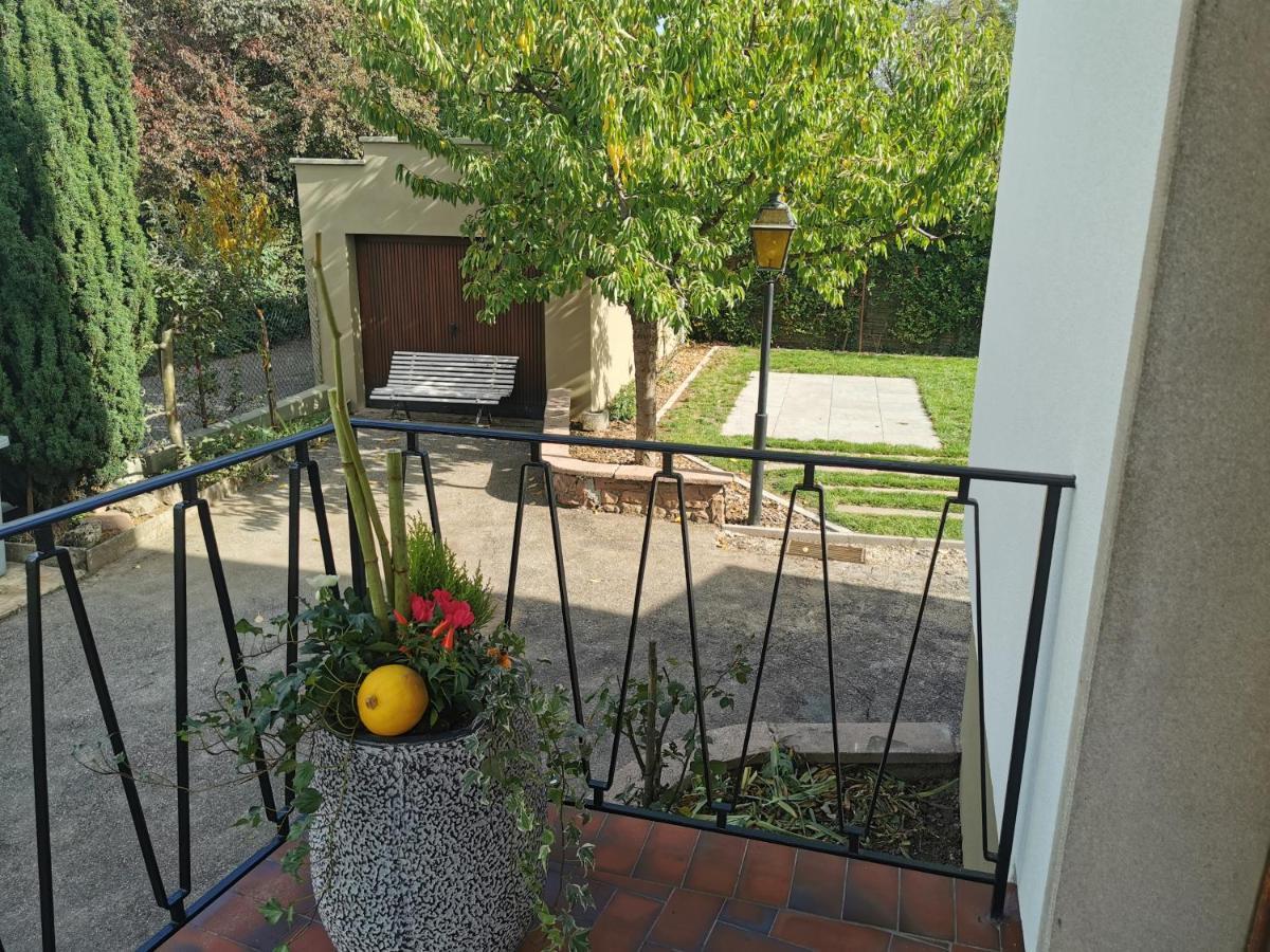 La Maison De Lucie - Grande Maison Ideale En Famille Ou Entre Amis - Jardin - Parking Gratuit Sélestat Екстериор снимка